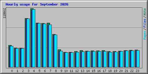 Hourly usage for September 2026